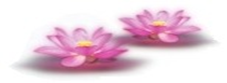 mb-file.php?path=2025%2F05%2F26%2FF1237_image.png